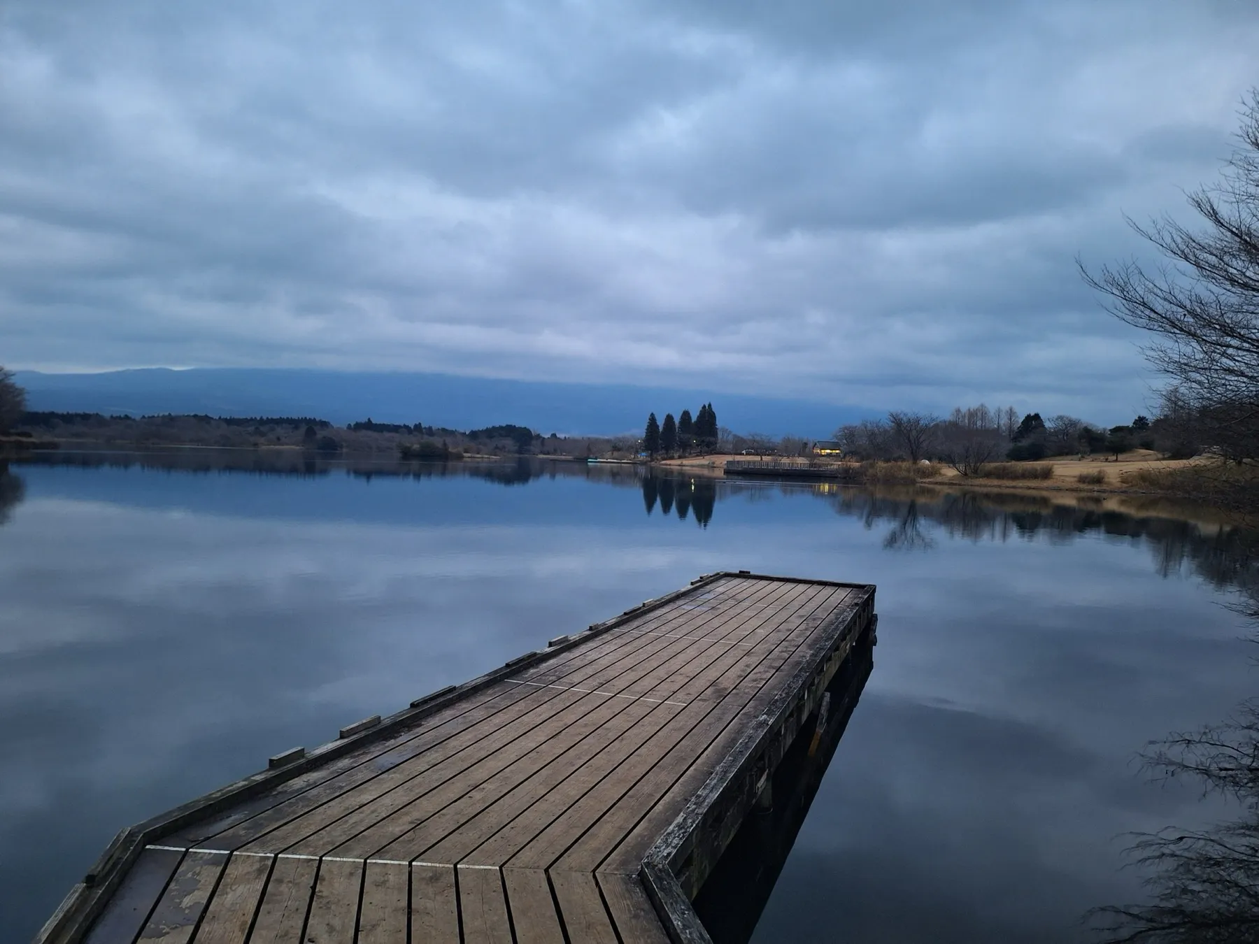 Lac Tanuki — 1