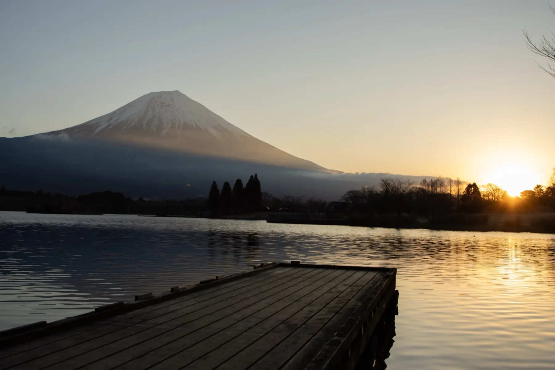 Lac Tanuki — 2