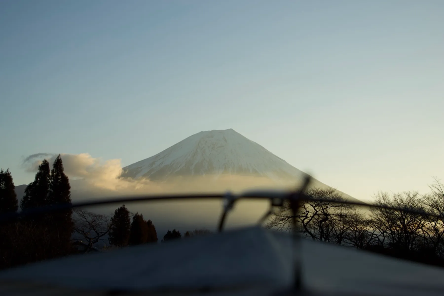 Lac Tanuki — 3