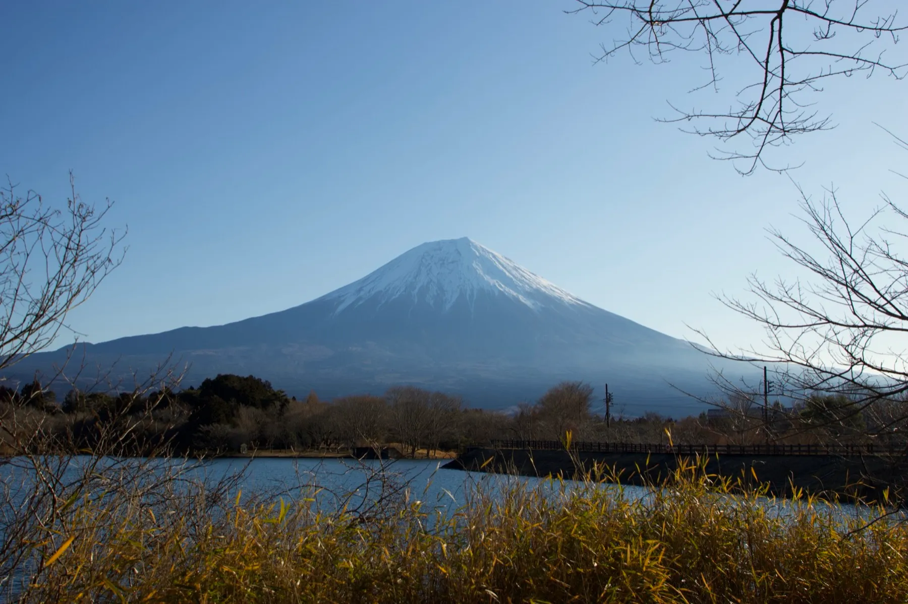 Lac Tanuki — 4